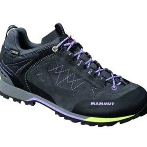 🔥Mammut 9.5 Ridge Low GTX Hiking Shoe Raichle Tech Graphite Leather Waterproof